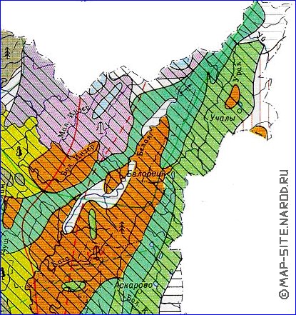 mapa de de vegetacao Bascortostao