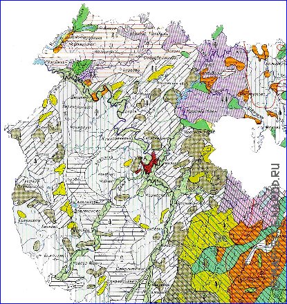 mapa de de vegetacao Bascortostao