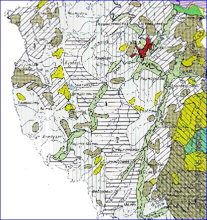 mapa de de vegetacao Bascortostao