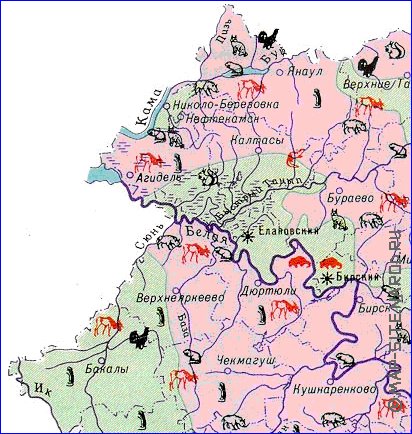 Zoological mapa de Bascortostao