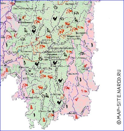 Zoologique carte de Bachkirie